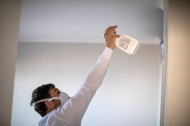 Best Residential Mold Remediation in Rothschild, WI